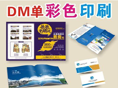 六盘水单页印刷，色彩搭配简单。